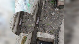 দমদমে কাটা হাত নিয়ে চাঞ্চল্য, পুলিশ এসে ভাঙলেন রহস্য!