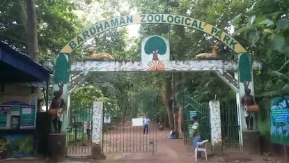Closing of Zoo due to rain: এক নাগাড়ে মুষলধারে বৃষ্টি! বন্ধ করে দেওয়া হল রাজ্যের এই চিড়িয়াখানা! কবে খুলবে? Closing of Zoo due to rain: এক নাগাড়ে মুষলধারে বৃষ্টি! বন্ধ করে দেওয়া হল রাজ্যের এই চিড়িয়াখানা! কবে খুলবে?