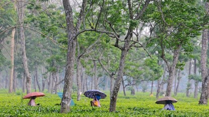 প্রতীকী ছবি প্রতীকী ছবি