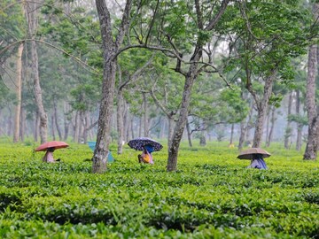 প্রতীকী ছবি