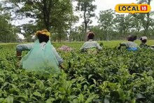 ডুয়ার্সের চা বলয়ে গোপনে চলছিল বড়সড় চক্রান্ত! কীভাবে ফাঁস?