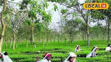 দার্জিলিংয়ে