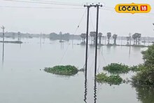 বর্ষায় বড় ক্ষতি চাষিদের! মুর্শিদাবাদে যা হয়ে গেল...! মাথায় হাত সকলের