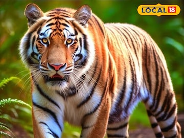 জঙ্গলে