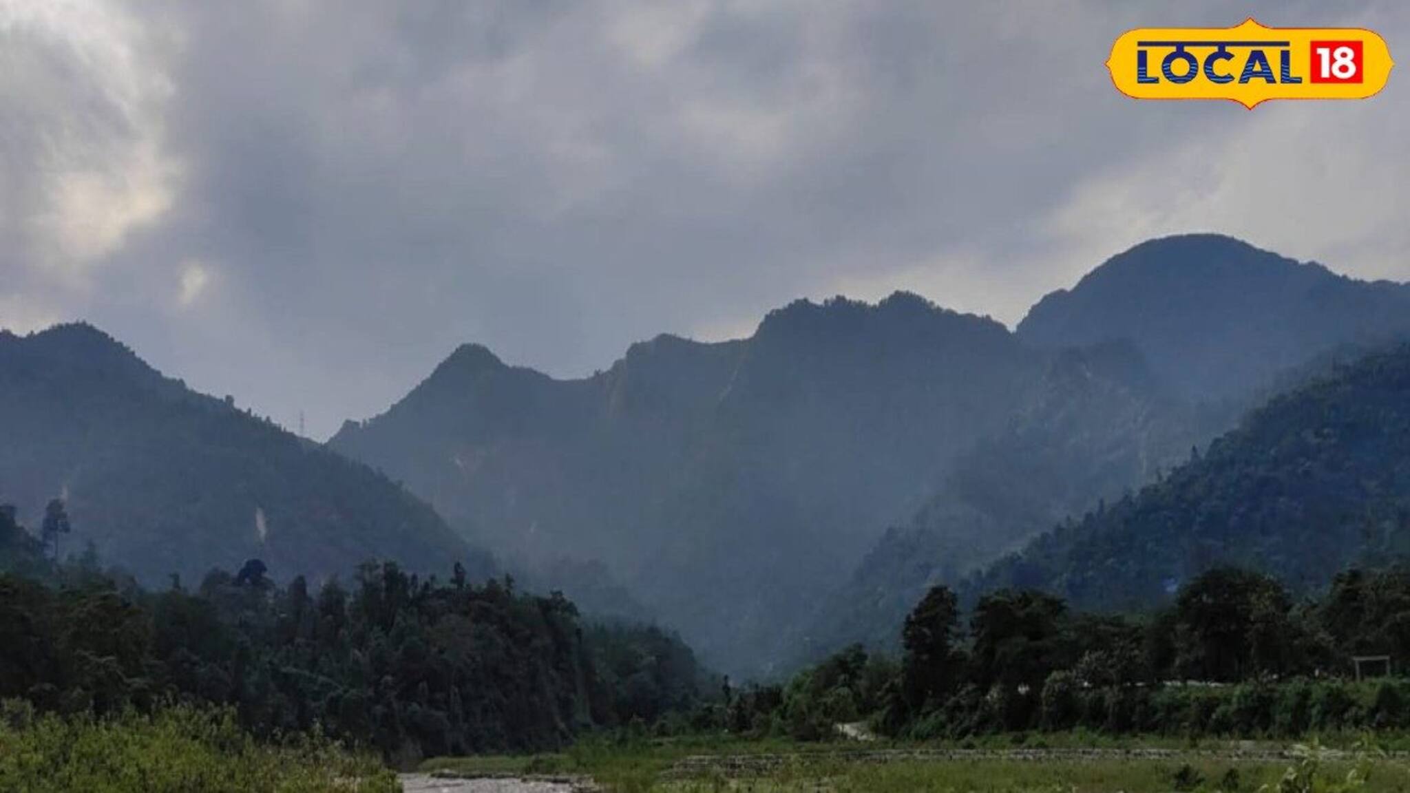 জঙ্গলের রাস্তায় সাক্ষাৎ 'যমদূতের' দেখা! তারপর যা হল...
