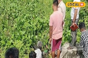 কচুরিপানার ঝোপ থেকে উদ্ধার দু'দিন ধরে নিখোঁজ টোটো চালকের দেহ! জলে পচে বীভৎস চেহারা