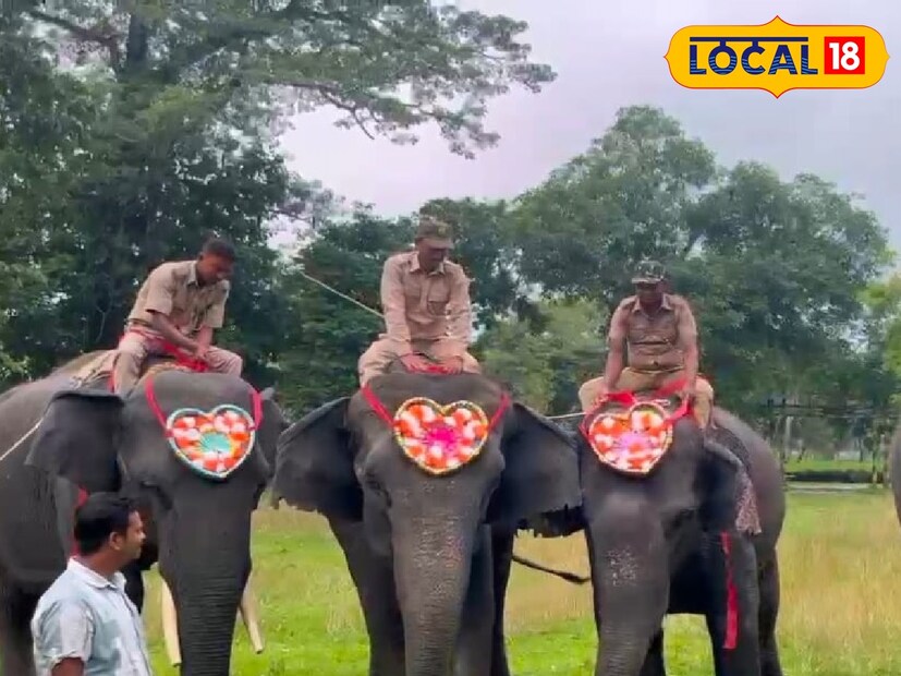 স্বেচ্ছাসেবী সংগঠনের এই উদ্যোগ প্রমাণ করল ভালবাসা প্রজাতি চেনে না, কেবল হৃদয় বোঝে। জঙ্গলের মাঝখানে, হাতির চামড়ায় রাখা রাখির ছোঁয়া যেন বন্ধুত্বের ভাষা হয়ে উঠল। দূরে দাঁড়িয়ে পর্যটকরাও এই মেলবন্ধনের সাক্ষী হলেন। প্রকৃতির বুক জুড়ে ছড়াল এক অদ্ভুত শান্তি।