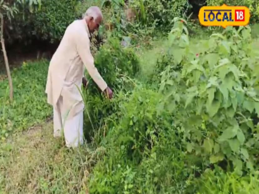 এই বৈচিত্র্যময় চাষের মাধ্যমে বনওয়ারি লাল প্রমাণ করেছেন যে কৃষিকাজ থেকেও প্রচুর লাভ করা সম্ভব। তিনি জানান, প্রতি বছর তার কৃষি আয়ের পরিমাণ ২০ থেকে ২৫ লক্ষ টাকা। এই আয় তার পরিশ্রম ও প্রযুক্তিগত সচেতনতার ফল।