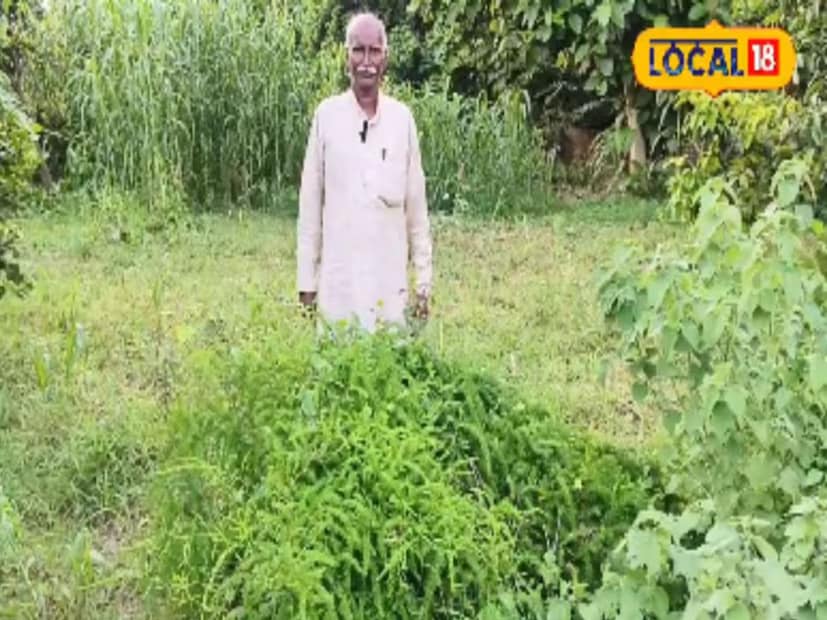 লিচু চাষে সাফল্যের জন্য তিনি উত্তরপ্রদেশের উপ-মুখ্যমন্ত্রী কেশব প্রসাদ মৌর্যর হাত থেকে পুরস্কারও পেয়েছেন। এই সম্মাননা তাকে আরও উৎসাহী করেছে এবং তিনি মনে করেন এই ধরনের স্বীকৃতি কৃষকদের এগিয়ে যেতে অনুপ্রাণিত করে।
