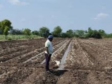 সরকারি জমি দখলে রাখলে কীভাবে মিলবে তার মালিকানা? জেনে নিন আইন ও পাট্টা নেওয়ার নিয়ম...