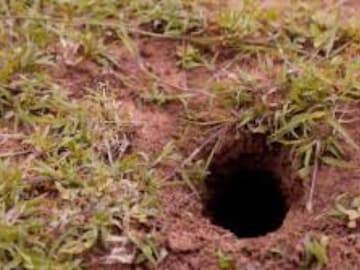 সাপের গর্ত কী করে বুঝবেন! বাড়ির আঙিনায় সাপের গর্ত থেকে সাবধান, মাথায় রাখুন 'এই' টিপসগুলি সাপের গর্ত কী করে বুঝবেন! বাড়ির আঙিনায় সাপের গর্ত থেকে সাবধান, মাথায় রাখুন 'এই' টিপসগুলি