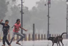 কেটে যাওয়া জায়গায় চেটে দিয়েছিল কুকুর! র‍্যাবিসের ছোবলে দুই বছরের শিশুর মৃত্যু...