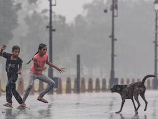 কেটে যাওয়া জায়গায় চেটে দিয়েছিল কুকুর! র‍্যাবিসের ছোবলে দুই বছরের শিশুর মৃত্যু...
