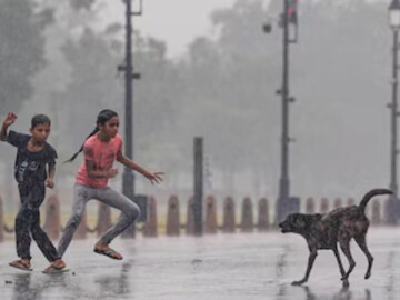 Stray Dog Rabies Risk: কেটে যাওয়া জায়গায় চেটে দিয়েছিল কুকুর! র‍্যাবিসের ছোবলে দুই বছরের শিশুর মৃত্যু…