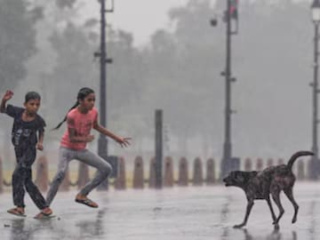 Stray Dog Rabies Risk: কেটে যাওয়া জায়গায় চেটে দিয়েছিল কুকুর! র্যাবিসের ছোবলে দুই বছরের শিশুর মৃত্যু… Stray Dog Rabies Risk: কেটে যাওয়া জায়গায় চেটে দিয়েছিল কুকুর! র্যাবিসের ছোবলে দুই বছরের শিশুর মৃত্যু…