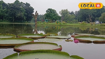 ভিক্টোরিয়া