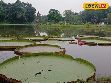 ভিক্টোরিয়া