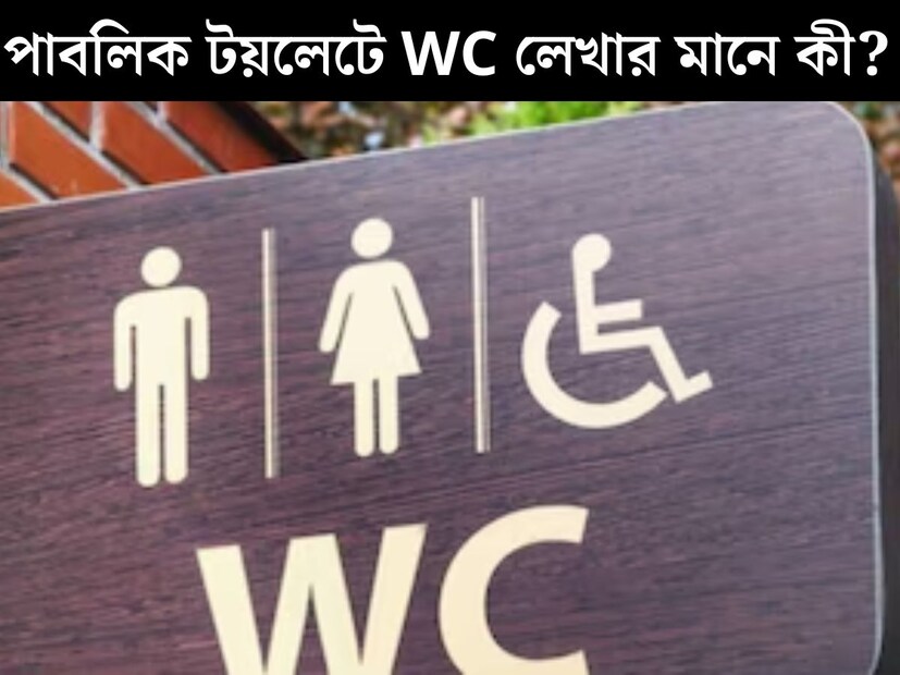 বিভিন্ন কারণে কখনও না কখনও পাবলিক টয়লেট ব‍্যবহার করতে হয়েছে মোটামুটি সকলকেই। অফিস, সিনেমা হল বা শপিং মল থেকে শুরু করে রাস্তাঘাটে, পাবলিক টয়লেটে প্রয়োজনে যেতেই হয়েছে। 