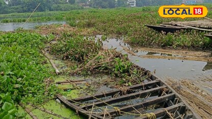 লালনগর ফেরিঘাটে নদীজুড়ে কচুরিপানা ফলে বন্ধ নৌকা চলাচল লালনগর ফেরিঘাটে নদীজুড়ে কচুরিপানা ফলে বন্ধ নৌকা চলাচল
