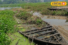 শিক্ষার পথে বাধা কচুরিপানা! অনির্দিষ্টকালের জন্যে বন্ধ 'এই' স্কুলের পরীক্ষা