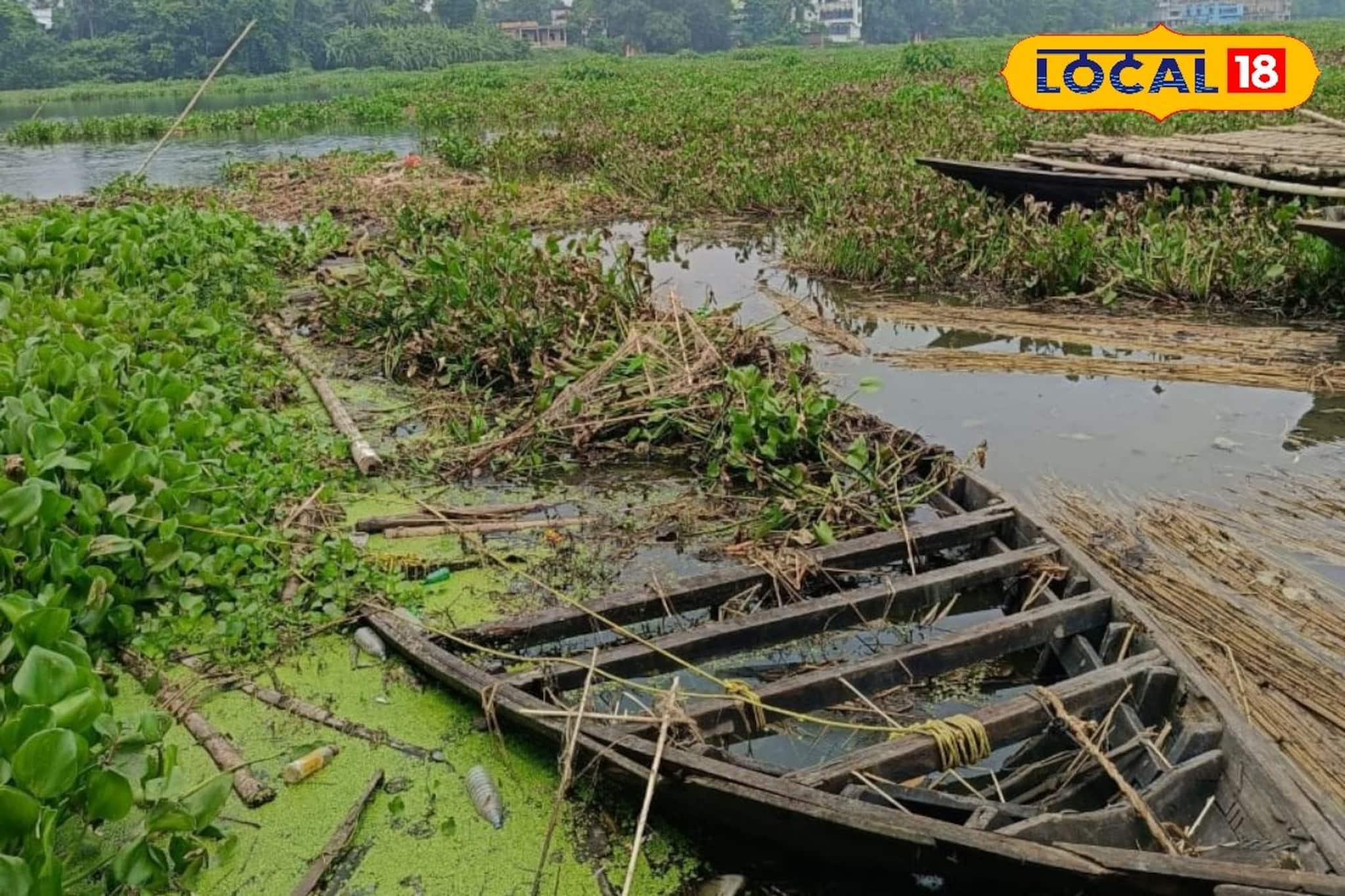শিক্ষার পথে বাধা কচুরিপানা! অনির্দিষ্টকালের জন্যে বন্ধ 'এই' স্কুলের পরীক্ষা
