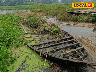 লালনগর ফেরিঘাটে নদীজুড়ে কচুরিপানা ফলে বন্ধ নৌকা চলাচল 