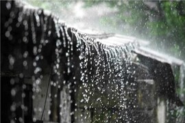 আগামী ২৪ ঘণ্টায়...!  তুলকালাম ঝড়-বৃষ্টিতে ভাসবে কোন কোন জেলা? নিম্নচাপের মেগা খেলা শুরু!