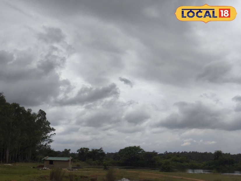 অগাস্টের শেষ সপ্তাহে দেখে নিন বাঁকুড়া পুরুলিয়া এবং ঝাড়গ্রাম জেলার আবহাওয়া। এই তিন জেলা রাঢ় বাংলার মুখ্য জেলাগুলোর মধ্যে অন্যতম। এই জেলাগুলিতে রয়েছে প্রাকৃতিক ভূ-বৈচিত্র। মাটি শিলা প্রকৃতির। যার জন্য আবহাওয়া কিছুটা চরমভাবাপন্ন। প্রথমেই আলোকপাত করা যাক বাঁকুড়া জেলার দিকে। অগাস্টের শেষ সপ্তাহে দেখে নিন বাঁকুড়া পুরুলিয়া এবং ঝাড়গ্রাম জেলার আবহাওয়া। এই তিন জেলা রাঢ় বাংলার মুখ্য জেলাগুলোর মধ্যে অন্যতম। এই জেলাগুলিতে রয়েছে প্রাকৃতিক ভূ-বৈচিত্র। মাটি শিলা প্রকৃতির। যার জন্য আবহাওয়া কিছুটা চরমভাবাপন্ন। প্রথমেই আলোকপাত করা যাক বাঁকুড়া জেলার দিকে।