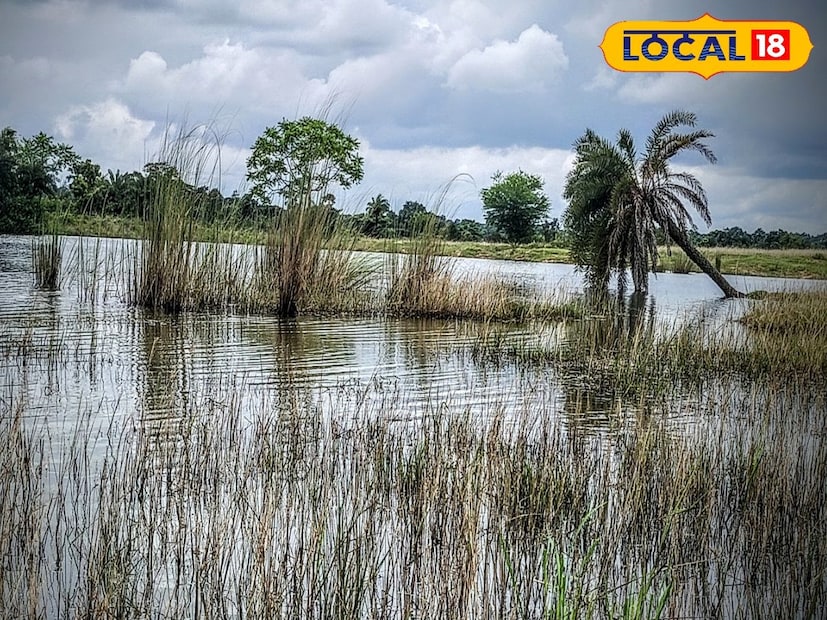জঙ্গলমহল বেল্টের অন্যতম মুখ্য নতুন জেলা ঝাড়গ্রাম। শনিবার দিন সর্বোচ্চ তাপমাত্রা থাকছে ৩২ ডিগ্রি সেলসিয়াস, তাপমাত্রা অনুভূত হচ্ছে ৪১ ডিগ্রি সেলসিয়াস মত। তবে বাঁকুড়া এবং পুরুলিয়ার চেয়ে বৃষ্টিপাতের সম্ভাবনা বেশি এই জেলায়। দুপুর দু'টোর পর থেকে রয়েছে বিক্ষিপ্ত বৃষ্টিপাতের সম্ভাবনা। বাতাসে আর্দ্রতার পরিমাণ ৯০%। মঙ্গলবার এবং বুধবার বৃষ্টিপাতের সম্ভাবনা থাকছে। দিনের দৈর্ঘ্য তার চেয়ে ১২ ঘন্টা ৫৬ মিনিট, রাতের দৈর্ঘ্য ১৩ ঘন্টা ৪৮ মিনিট। বাতাসের গুণগত মান গ্রহণযোগ্য ৩০। 