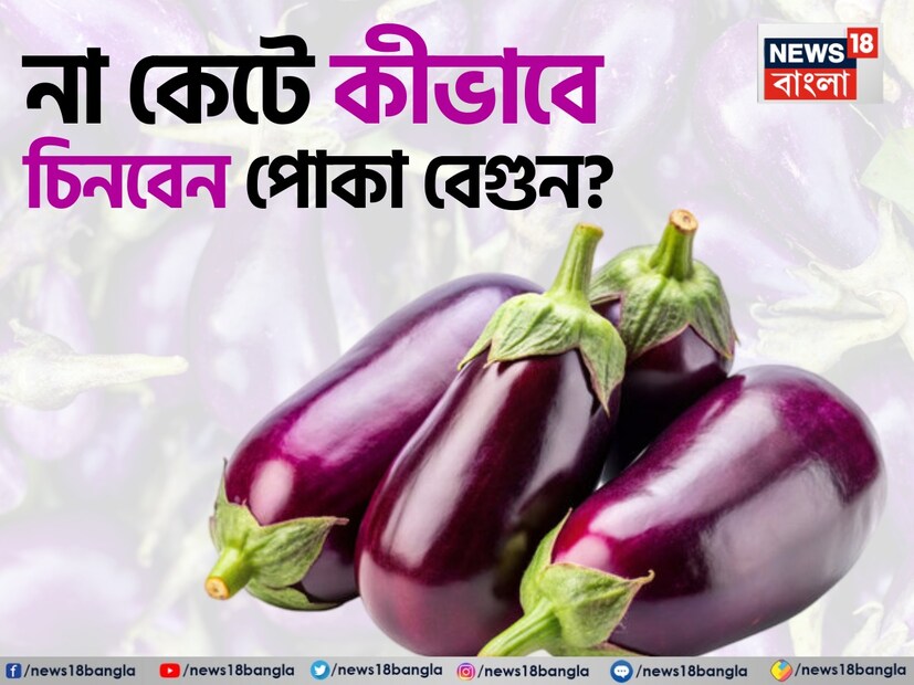*ফ্যাকাশে রঙের বেগুন ভেতর থেকে খারাপ হতে পারে। পোকা থাকলে সেগুলি ক্ষত বা দাগ থেকে বেরিয়ে আসতে পারে।