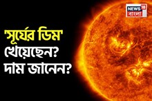 Knowledge Story: 'সূর্যের ডিম' খেয়েছেন কোনও দিন? দাম জানেন কত? চমকে দেওয়া তথ্য!