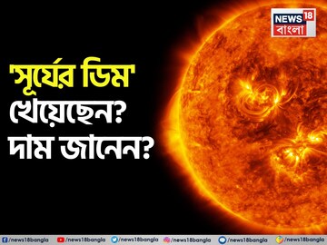 Knowledge Story: 'সূর্যের ডিম' খেয়েছেন কোনও দিন? দাম জানেন কত? চমকে দেওয়া তথ্য!