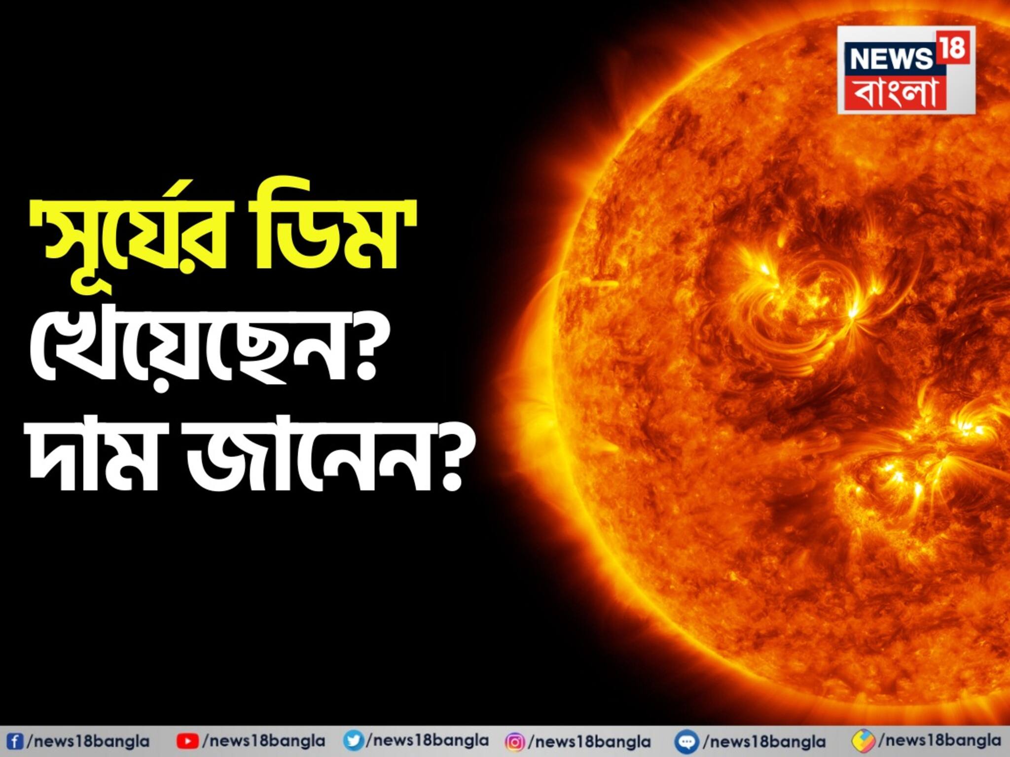 Knowledge Story: 'সূর্যের ডিম' খেয়েছেন কোনও দিন? দাম জানেন কত? চমকে দেওয়া তথ্য!