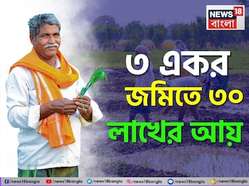 সোনা...সোনা...! ৩ একর জমিতে ৩০ লাখ আয়! ধনী করে দেবে এই 'জিনিস' চাষ, সোনালি দিন দেখলেন কৃষক সোনা...সোনা...! ৩ একর জমিতে ৩০ লাখ আয়! ধনী করে দেবে এই 'জিনিস' চাষ, সোনালি দিন দেখলেন কৃষক