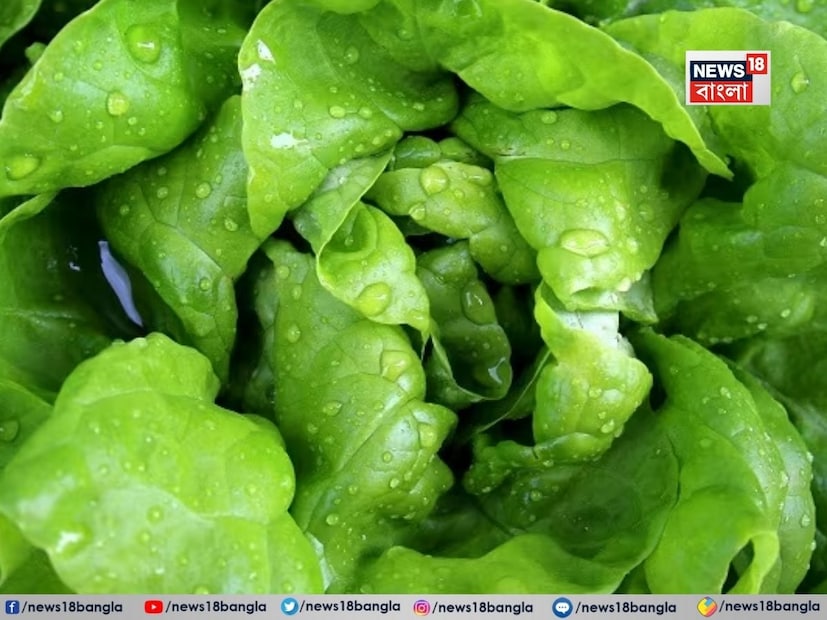 সবুজ পাতাজাতীয় সবজি-- বাঁধাকপি, সর্ষে শাক, পালং শাক ব্লাড প্রেশার কমাতে সক্ষম।