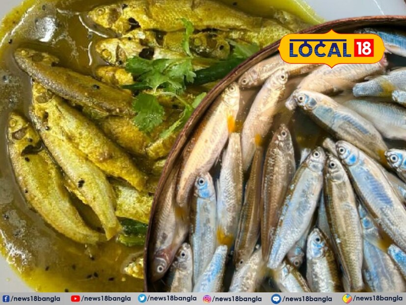 কিন্তু এই রুপোলি মোহের আড়ালে লুকিয়ে আছে এক অন্য বাস্তবতা। মাছ বিশেষজ্ঞ ড. বিমল কুমার চন্দ সতর্ক করে বললেন, “এখন বাজারে যা ‘বোরলি’ নামে বিক্রি হচ্ছে, তার অনেকটাই আসল নয়। ভাগরা মাছ, জয়া মাছ, এসবও বোরলি বলে চালানো হচ্ছে। ক্রেতারা না জেনেই কিনে ফেলছেন। আসল-নকল বোঝা কঠিন।”