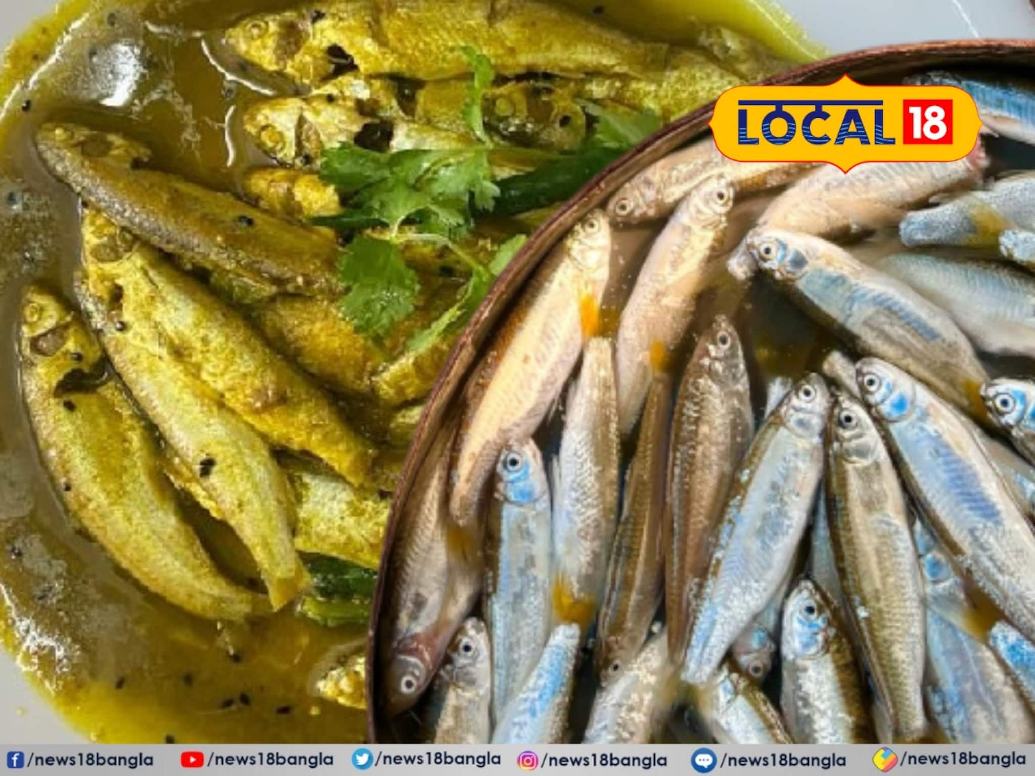 দাম নিচ্ছে কেজিতে ১০০০-১২০০, অথচ ধরাচ্ছে ভাগরা-জয়া মাছ! আপনিও বাজারে মাছ কিনে ঠকছেন নাকি?