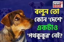 একটাও 'পথকুকুর' নেই কোন 'দেশে' জানেন...? কী ভাবে পথকুকুর শূন্য হল এই দেশ? চমকে দেবে উত্তর!