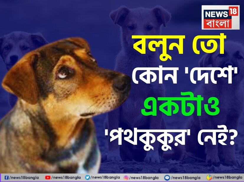 পথ কুকুরদের কামড়ানোর ঘটনা উল্লেখযোগ্যভাবে বৃদ্ধি পেয়েছে রাজধানী দিল্লিতে। পথকুকুরের কামড়ের আতঙ্কের জেরেই এবার বড় নির্দেশ দিয়েছে সুপ্রিম কোর্ট। অবিলম্বে দিল্লি ও সংলগ্ন এলাকার সব পথকুকুরকে লোকালয় থেকে সরানোর নির্দেশ দিয়েছে আদালত।