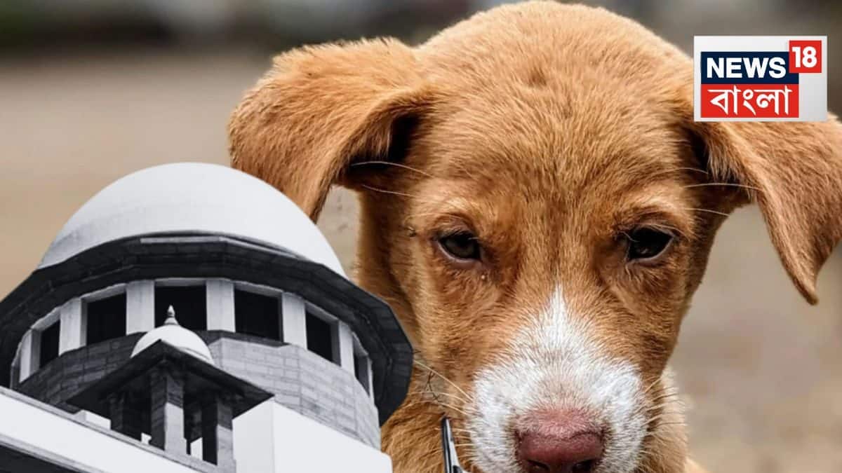 Meva pishgan badiiy porno filmi Rus tahqirlash pornosini onlayn tomosha qiling