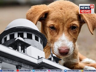 News18