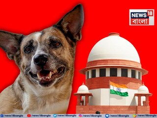 News18