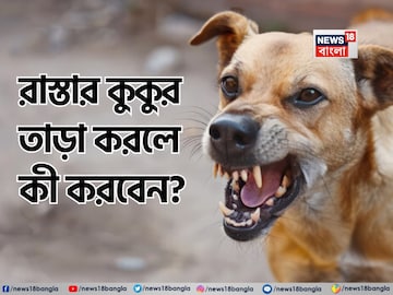 হঠাৎ রাস্তার কুকুর তাড়া করলে কী করবেন জানেন...? এক্সপার্ট বলে দিলেন বাঁচার 'সঠিক' উপায়! হঠাৎ রাস্তার কুকুর তাড়া করলে কী করবেন জানেন...? এক্সপার্ট বলে দিলেন বাঁচার 'সঠিক' উপায়!