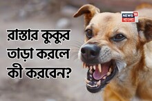 হঠাৎ রাস্তার কুকুর তাড়া করলে কী করবেন জানেন...? এক্সপার্ট বলে দিলেন বাঁচার 'সঠিক' উপায়!