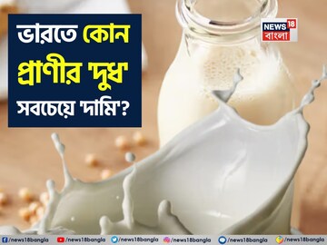 ভারতে কোন প্রাণীর 'দুধ' সবচেয়ে 'দামি' জানেন...? গ্যারান্টি, 'নাম' শুনলেই চমকাবেন!