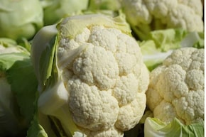 শীত মানেই ফুলকপি আর বাঁধাকপি... কিন্তু পোকা থেকে বাঁচতে হবে তো! উপায় বললেন বিশেষজ্ঞ