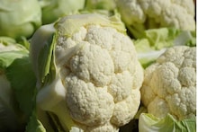 শীত মানেই ফুলকপি আর বাঁধাকপি... কিন্তু পোকা থেকে বাঁচতে হবে তো! উপায় বললেন বিশেষজ্ঞ