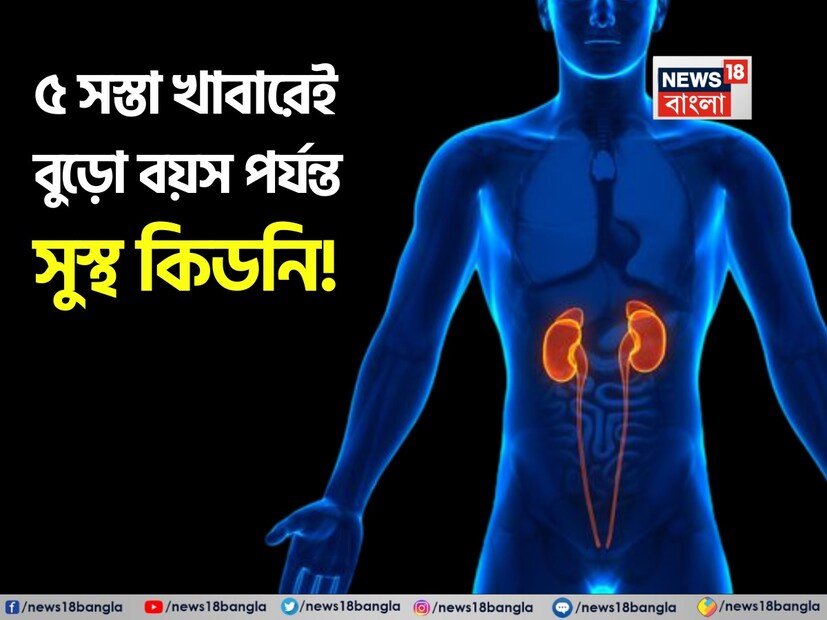 কিডনি শরীরের বর্জ্য পদার্থকে বিষমুক্ত করে মল ও প্রস্রাবের মাধ্যমে বের করে দেয়। কিডনিতে সমস্যা হলে প্রস্রাব করার সময় জ্বালাপোড়া এবং ব্যথা হতে পারে। ইউটিআই, কিডনিতে পাথরের মতো অনেক রোগের ঝুঁকিও থাকতে পারে। তাই কিডনি সুস্থ রাখা খুবই গুরুত্বপূর্ণ। সুস্থ কিডনির জন্য মানুষ অনেক কিছু খায়, তবে কিছু সস্তা খাবার খাওয়া আরও উপকারী হতে পারে। আসুন জেনে নেওয়া যাক এই খাবারগুলি সম্পর্কে৷ বলছেন পুষ্টিবিদ লভনীত বাত্রা৷