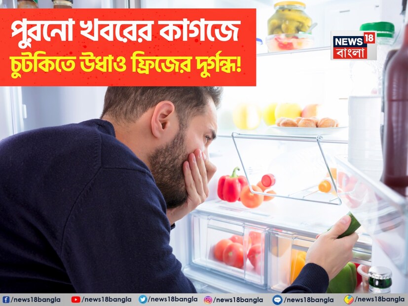 ফ্রিজ এমন একটি গুরুত্বপূর্ণ বৈদ্যুতিন যন্ত্র, যা আজকাল প্রায় প্রতিটি ঘরেই থাকে। গ্রীষ্মকালে ফ্রিজ ছাড়া কাজ করা সম্ভব হয় না, কারণ এক ঘণ্টার জন্যও বিদ্যুৎ না থাকলে অথবা খাবার ঘরের তাপমাত্রায় রাখলে দুর্গন্ধ হতে শুরু করে। 
