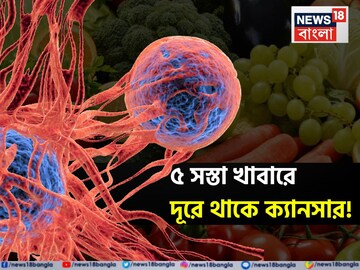৫ সস্তা খাবারের পঞ্চবাণ! আপনার থেকে শত হস্ত দূরে থাকবে ক্যানসার! নিপাত যাবে মারণ রোগ ৫ সস্তা খাবারের পঞ্চবাণ! আপনার থেকে শত হস্ত দূরে থাকবে ক্যানসার! নিপাত যাবে মারণ রোগ
